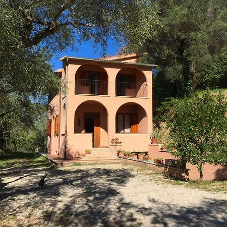 Argentella House Villa Palombara Sabina Exterior foto